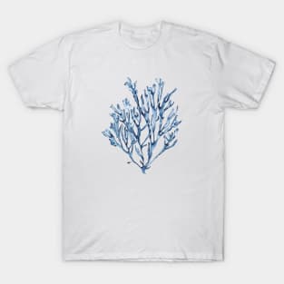 Blue seaweed T-Shirt